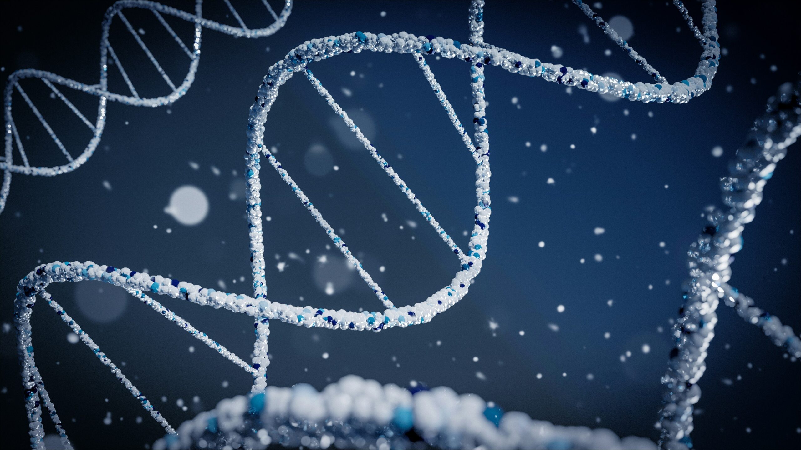 DNA – Was ist das?