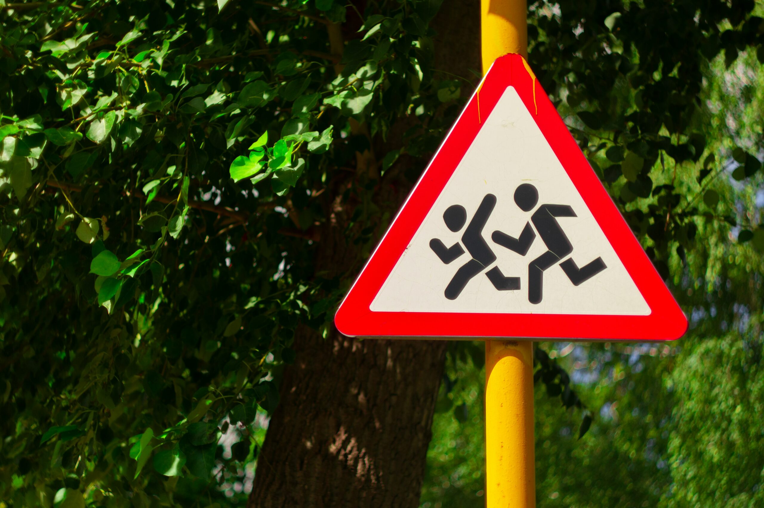 Schulkinder sind laut Umfrage nicht genügend auf Verkehr vorbereitet