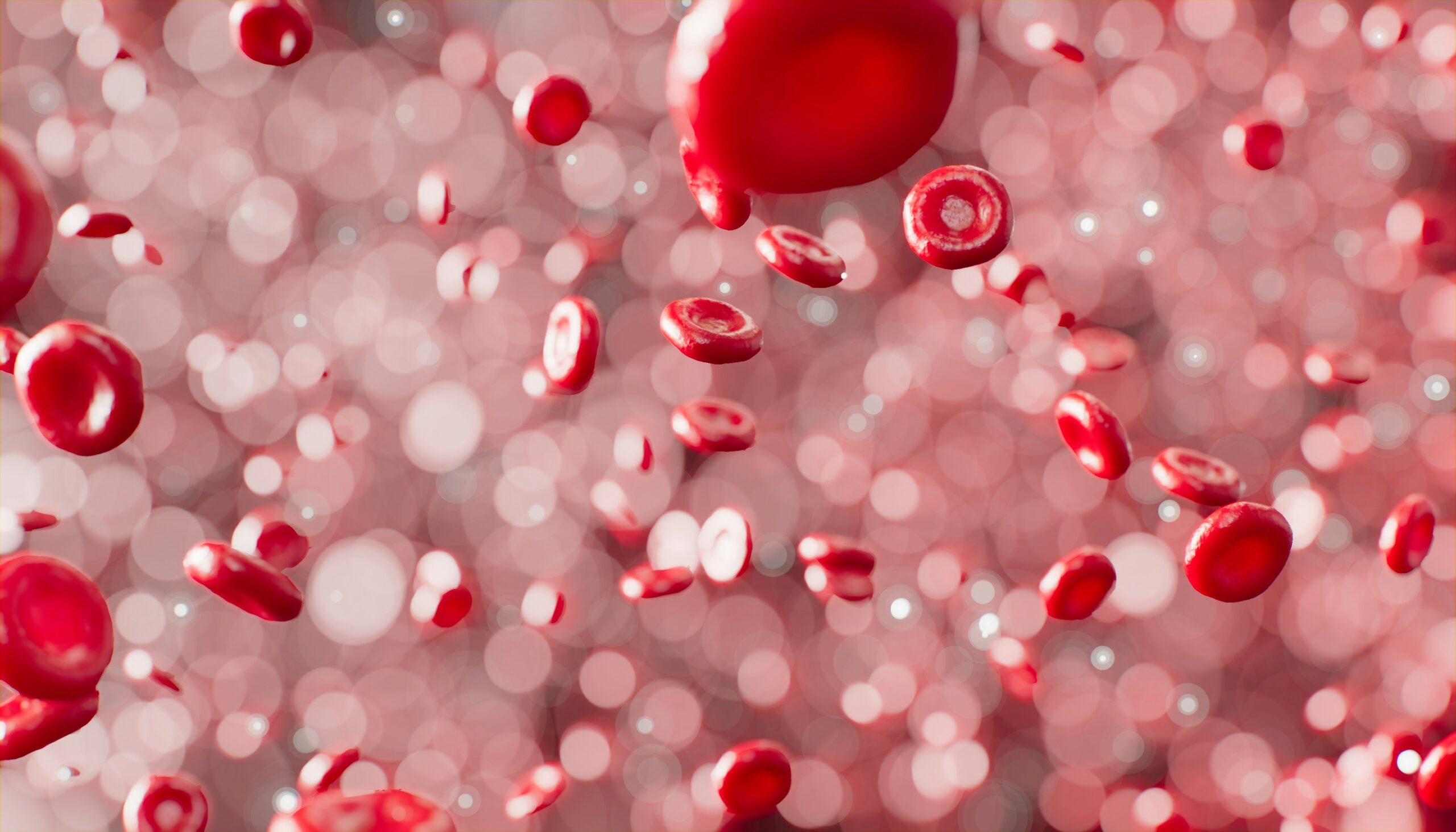 Blut, Leukämie und lebensrettende Blutstammzellen